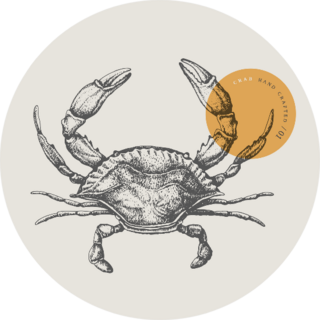 Sea Crab Drawn By Graphic Lines Sticker