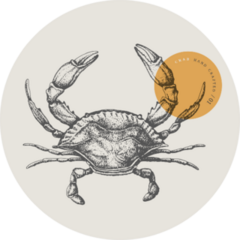 Sea Crab Drawn By Graphic Lines Sticker