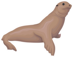 Sea Lion Animal Cartoon Sticker