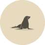 Sea Lion Illustration In Beige Sticker