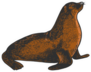 Sea Lion Seal Animal Sketch Sticker