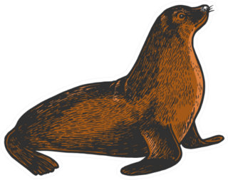 Sea Lion Seal Animal Sketch Sticker