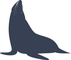 Sea Lion Seal Looking Up Sticker