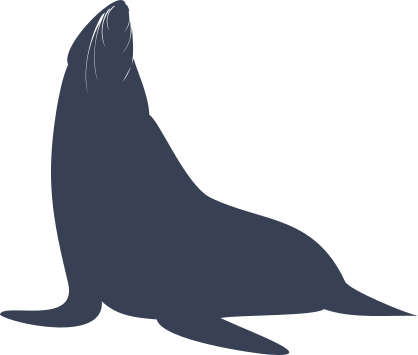 Sea Lion Seal Looking Up Sticker