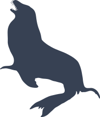 Sea Lion Seal with Whiskers Sticker