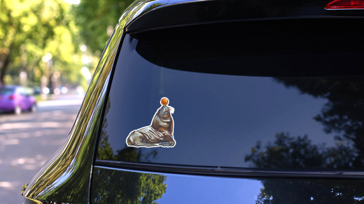 Sea Lion Sketch With Ball On Nose Sticker on a Rear Car Window (New) example