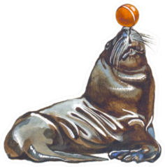 Sea Lion Sketch With Ball On Nose Sticker