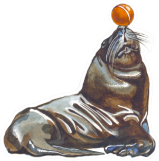 Sea Lion Sketch With Ball On Nose Sticker