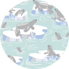 Sea Lions Family Lying On Iceberg Ice Pattern Sticker