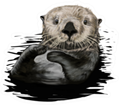 Sea Otter Illustration Sticker