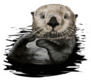 Sea Otter Illustration Sticker