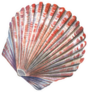 Sea Shell Painted Watercolor Sticker