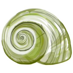 Sea Snail With Green Pattern Sticker