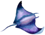Sea Stingray Watercolor Painting Sticker