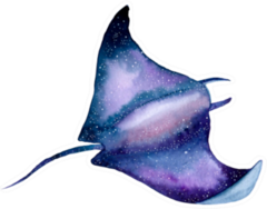 Sea Stingray Watercolor Painting Sticker