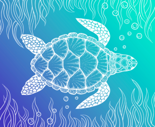 Sea Turtle In Line Art Sticker
