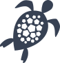Sea Turtle With Cool Hexagon Shell Sticker