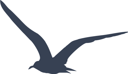 Seagull Flying Sticker