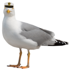 Seagull In Sea Cap Sticker