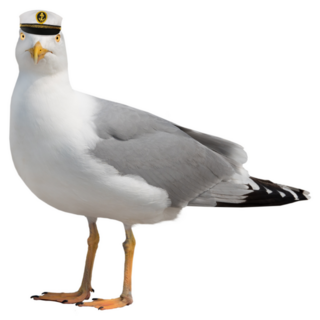 Seagull In Sea Cap Sticker