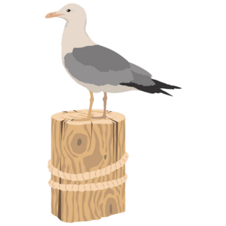 Seagull On Pole Sticker