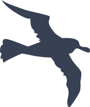 Seagull Sticker
