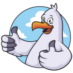 Seagull Thumbs Up Sticker
