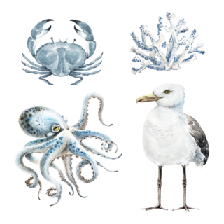 Seagulls Set Of Marine Locals Sticker 