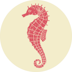 Seahorse Illustration Retro Sticker