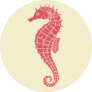 Seahorse Illustration Retro Sticker