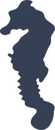 Seahorse Silhouette Sticker