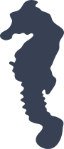 Seahorse Silhouette Sticker
