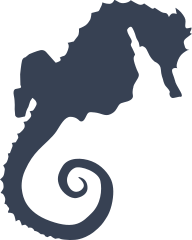 Seahorse Sticker