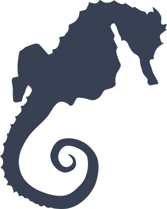 Seahorse Sticker