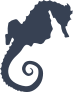Seahorse Sticker