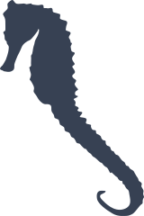 Seahorse Swimming Sticker