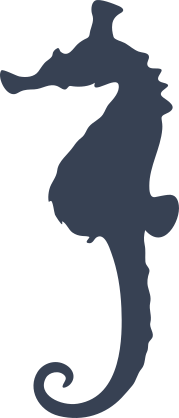 Seahorse With Bump On Head Sticker