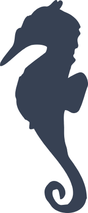 Seahorse With Pointy Nose Sticker