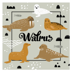 Seal And Walrus Winter Sticker