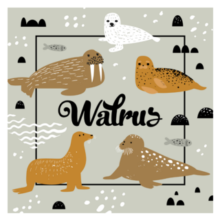 Seal And Walrus Winter Sticker