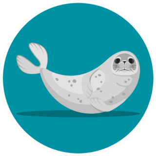 Seal Animal In Turquoise Sticker