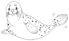 Seal Or Sea Lion On White Sticker