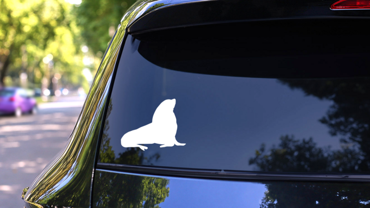 Seal Sea Lion Raising Head Sticker on a Rear Car Window (New) example