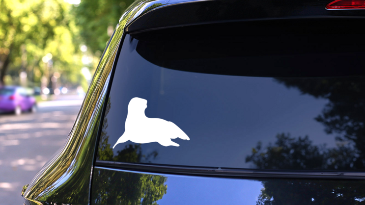 Seal Sea Lion Sticker on a Rear Car Window (New) example