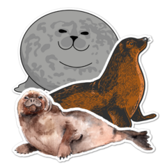 Seal Thumbnail