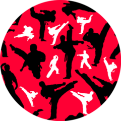 Seamless Colored Pattern Martial Arts Sticker