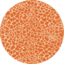 Seamless Giraffe Fur Pattern Sticker