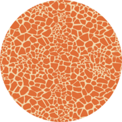 Seamless Giraffe Fur Pattern Sticker