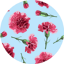 Seamless Pattern Carnations Flowers On Blue Sticker