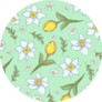 Seamless Pattern Of Daffodils Tulips Sticker
